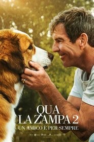 watch Qua la zampa 2 - Un amico è per sempre now