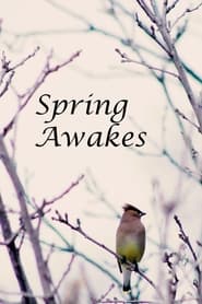 Spring Awakes