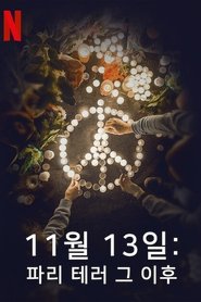 11월 13일: 파리 테러 그 이후