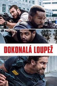 Dokonalá loupež (2018)