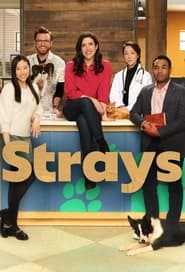 Strays film en streaming