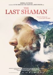 The Last Shaman постер