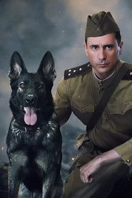 MongoDB.Entities.FuzzyString