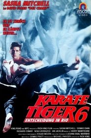 Karate Tiger 6 – Entscheidung in Rio