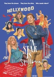 Poster A Star Is Stillborn 2014