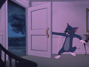 Smarty Cat
