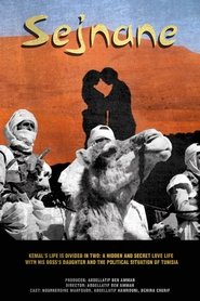 Poster Sejnane 1974