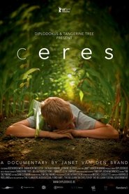 Poster Ceres