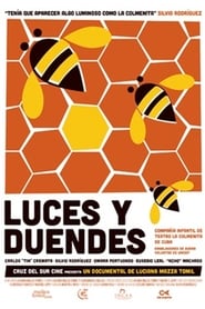 Poster Luces y duendes