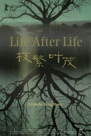 Poster Life After Life 2017