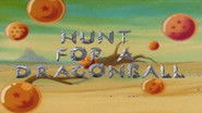 Hunt for a Dragon Ball
