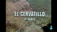 Episode 21