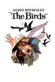Птахи постер