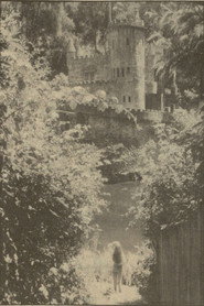 Jackie and the Beanstalk