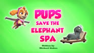 Pups Save the Elephant Spa