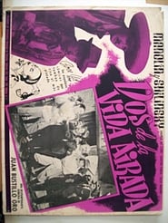 Poster Dos de la vida airada