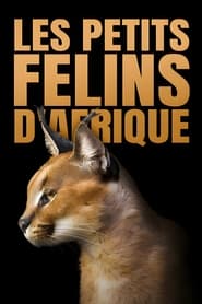 Les petits félins d'Afrique streaming