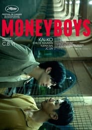 Moneyboys постер