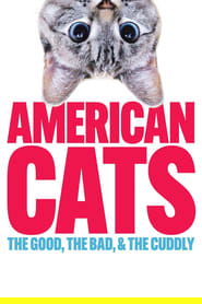 American Cats: The Good, the Bad, and the Cuddly 2024 Безплатен неограничен достъп