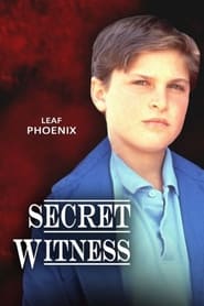 Poster Secret Witness 1988