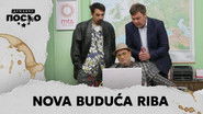 2236 Nova buduća riba