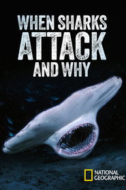 When Sharks Attack... And Why постер