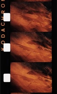 Poster Le feu 1992