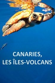 Affiche de Canaries, les îles-volcans