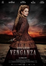 Buscando venganza poster