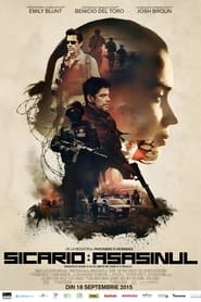 Sicario: Asasinul (2015)