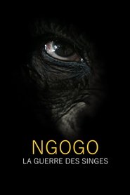 Ngogo : la guerre des singes