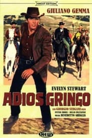 Adios Gringo постер