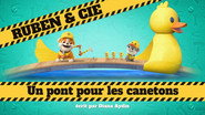 Un pont pour les canetons