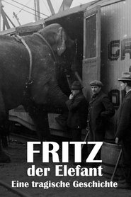 Fritz, der Elefant – Eine tragische Geschichte (2023)