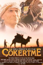 Poster Çökertme 1997