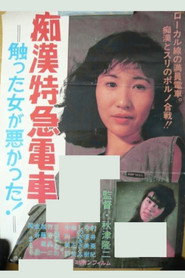 Plakat — 痴漢特急電車　触った女が悪かった！