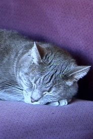Poster Nine Lives (The Eternal Moment of Now) 2001