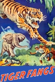 Poster Tiger Fangs