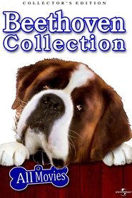 Beethoven e o Tesouro Secreto Dublado Online Beethoven e o Tesouro Secreto Dublado Online