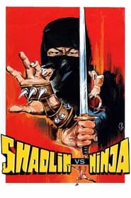 Shaolin vs. Ninja постер