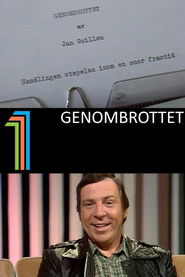Genombrottet (1981)