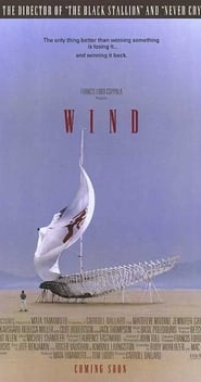 Poster Wind