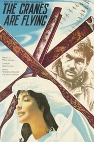 The Cranes Are Flying (1957) 