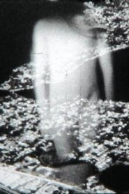 Poster Conjectures 2013