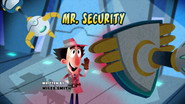 Mr. Security