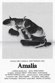 Poster Amalia