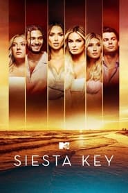 Siesta Key постер