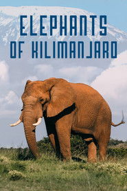Elephants of Kilimanjaro (2022)