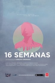 Poster 16 semanas 2017