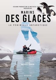 Marins des glaces
